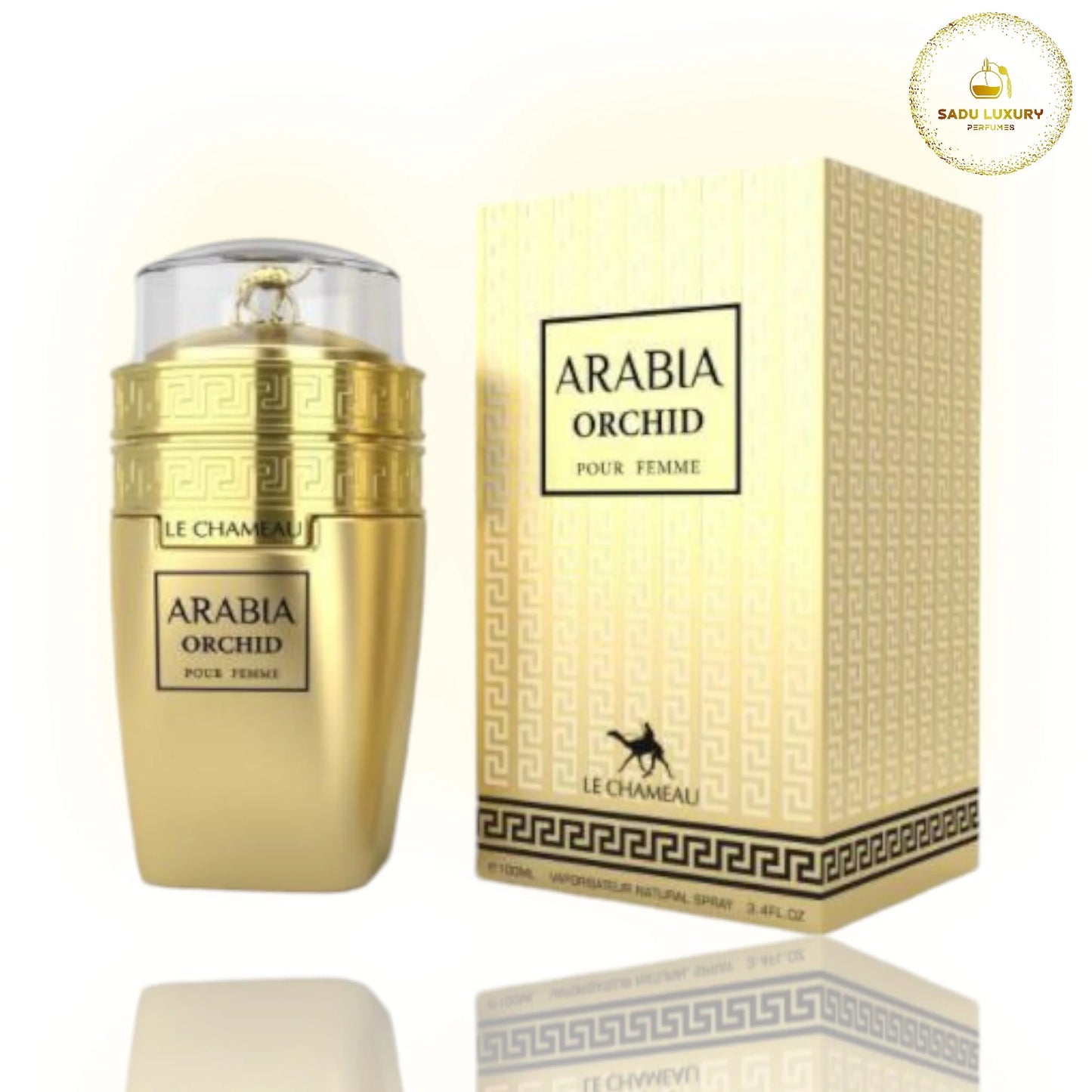 ARABIA ORCHID 100MLS