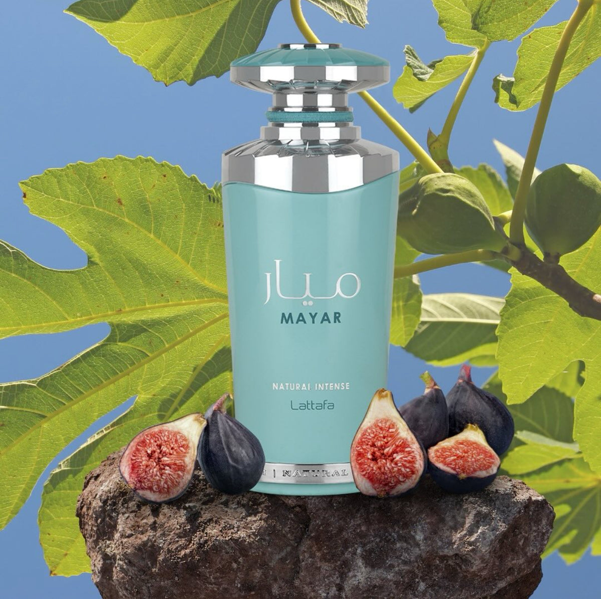 MAYAR NATURAL INTENSE 100MLS